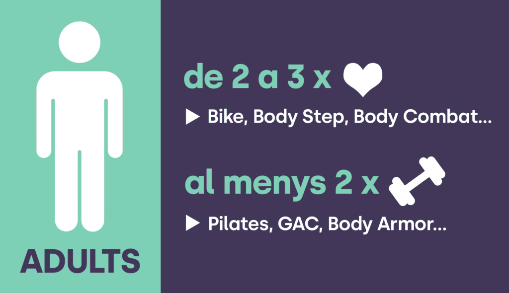 Activitat física recomanada adults
