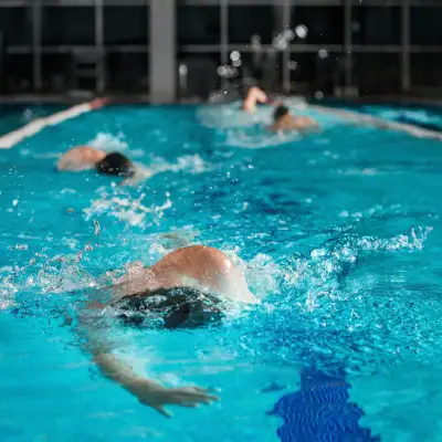 natacion o gimnasio